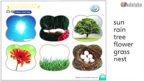 My Little Island 1 - Unit 9: My garden (Khu vườn của em) - Fighting English