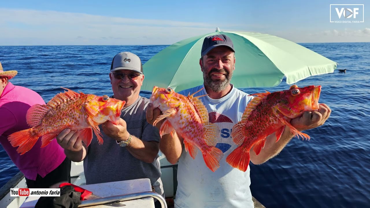 Grande pescaria na Costa Norte até a mesa na Ilha São Jorge