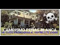 Campismo peas blanca  qu pas aqu  cmo es posible tal destruccin  sto es criminal 