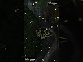 الله خلقنا كفو سوريا الله خلقنا كفو سوريا