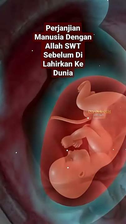 Mashaa Allah!! It turns out this is our agreement with Allah SWT before being born into this world.
