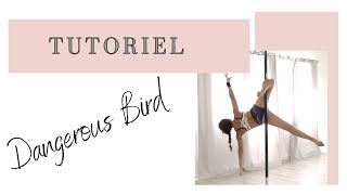 DANGEROUS BIRD  - Tuto Intermédiaire+ / Advanced