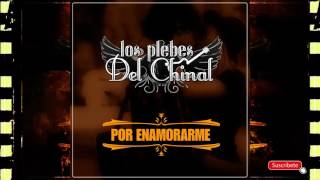Los Plebes Del Chinal - Por Enamorarme (Estudio 2017)