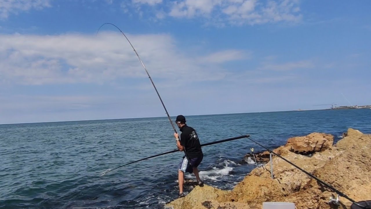 PESCA A BOLOGNESE...CON LE ORATE AFFAMATE DI COZZE... YouTube PESCA A BOLOGNESE...CON LE ORATE AFFAMATE DI COZZE... YouTube