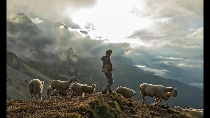 Rev Dr Jim Master: Shepherds and Sheep; 1 Thessalonians 5:12-22, Part 1