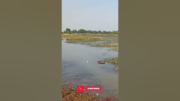 Sodium metal exploded on contact with pond water 💥💥💥