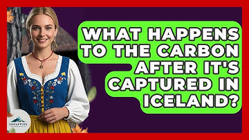 What Happens To The Carbon After It