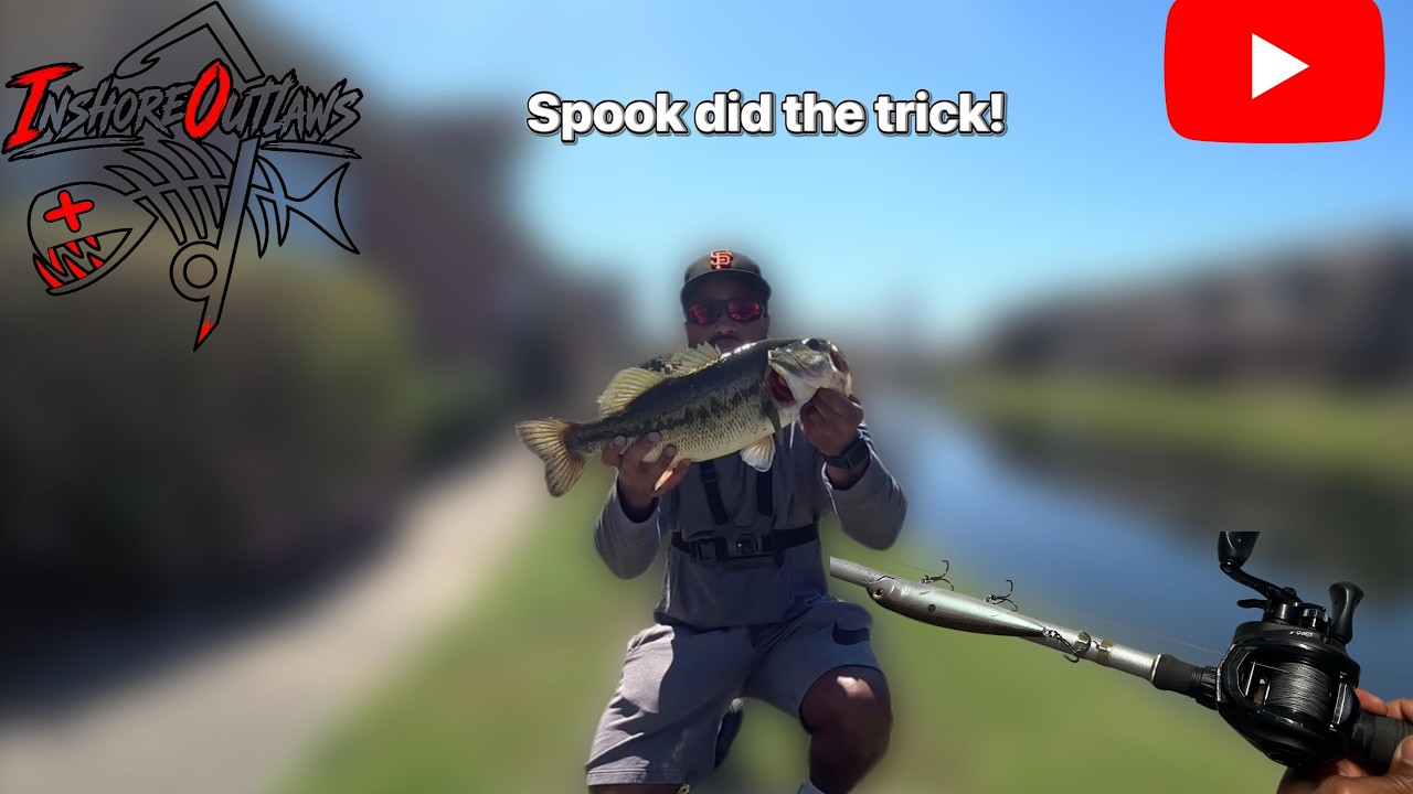 TOPWATER BASS FISHING is Addictive!