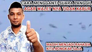 Cara mengganti suara panggil agar walet tidak kabur #rbwmini #rbwsukses #rumahwalet #parfumwalet