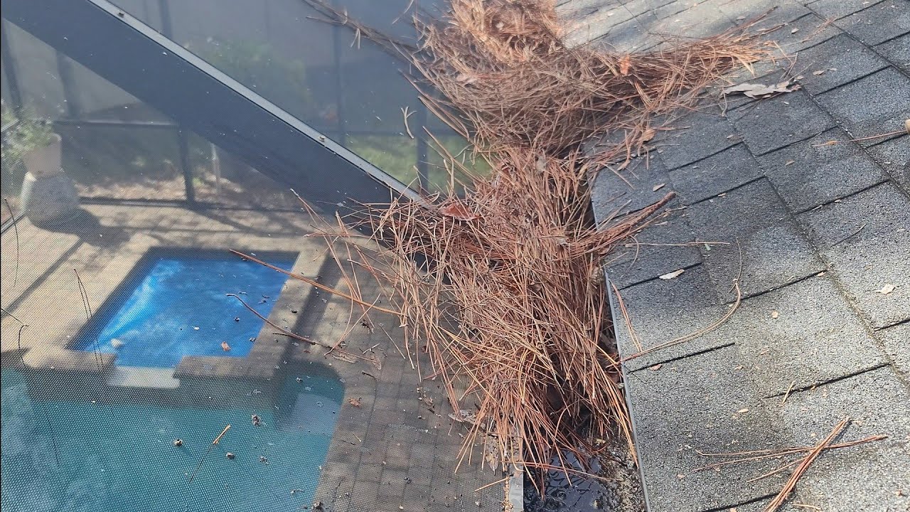 It Had Become A TOTAL NIGHTMARE for the HOMEOWNERS - YouTube