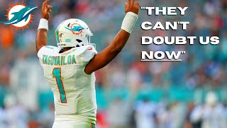 Dolphins Just PROVED They Are FOR REAL