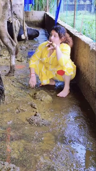 Lady cleans up cow poop by hand 💩