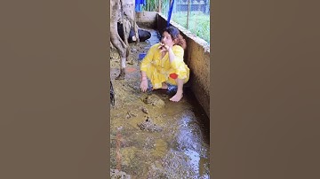 Lady cleans up cow poop by hand 💩