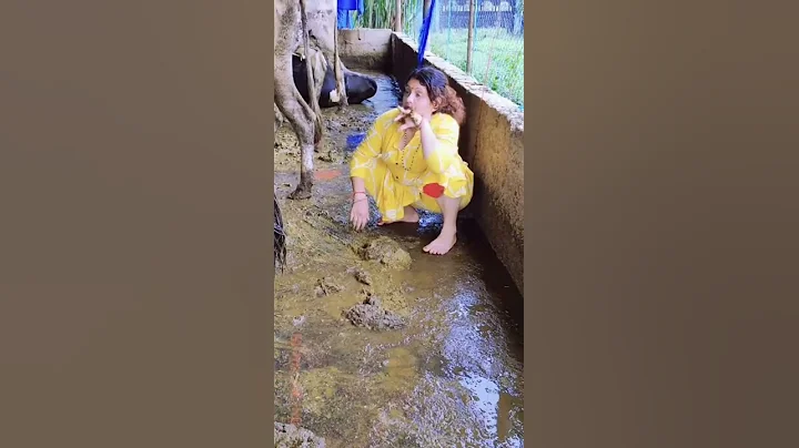 Lady cleans up cow poop by hand 💩