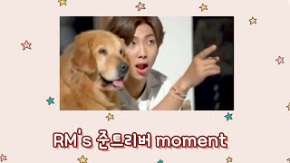 (방탄소년단/남준) 알엠이 리트리버인거 누가 몰라요?! 몰랐다면 꼭 봐야할 영상🐕‍🦺 RM's Retriever moment