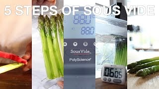 Chefsteps 5 Steps Of Sous Vide Cooking