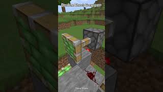 Minecraft Double Block Swapper #minecraft #shorts