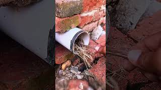 Stainless steel pipe protection net against rats and birds 🐭🐦🛡️🧊🔗
