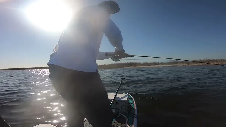 SUP FISHING - Fly Fishing for Striped Bass - First...