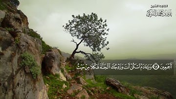 بدر التركي II   تلاوة من سورة الأعراف