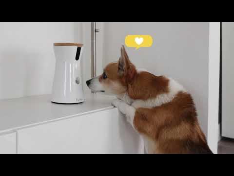  DOG CARE Dog Camera Treat Dispenser, 1080p HD 360