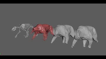 Ziva VFX:  Grizzly bear walk CFX
