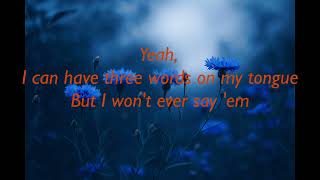 Morgan Wallen -Just in Case Lyrics