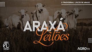 ARAXÁ LEILÕES AO VIVO - ARAXÁ MG