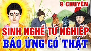 9 Chuyện Nhân Quả Báo Ứng, Sinh Nghề Tử Nghiệp - Báo Ứng Kinh Hoàng Có Thật Ở Việt Nam