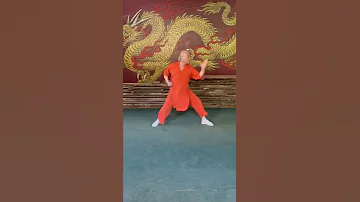 Shaolin Master Teaches Longquan Dragon Form Martialarts Kungfu 