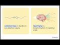 Changes Too Small to Notice — Where Does Cognition Begin to Update?|No.53