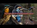 Calderdale Kingfishers 2019 - Part 5