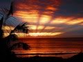 Vital Signs- Ye Sham Complete Song.wmv
