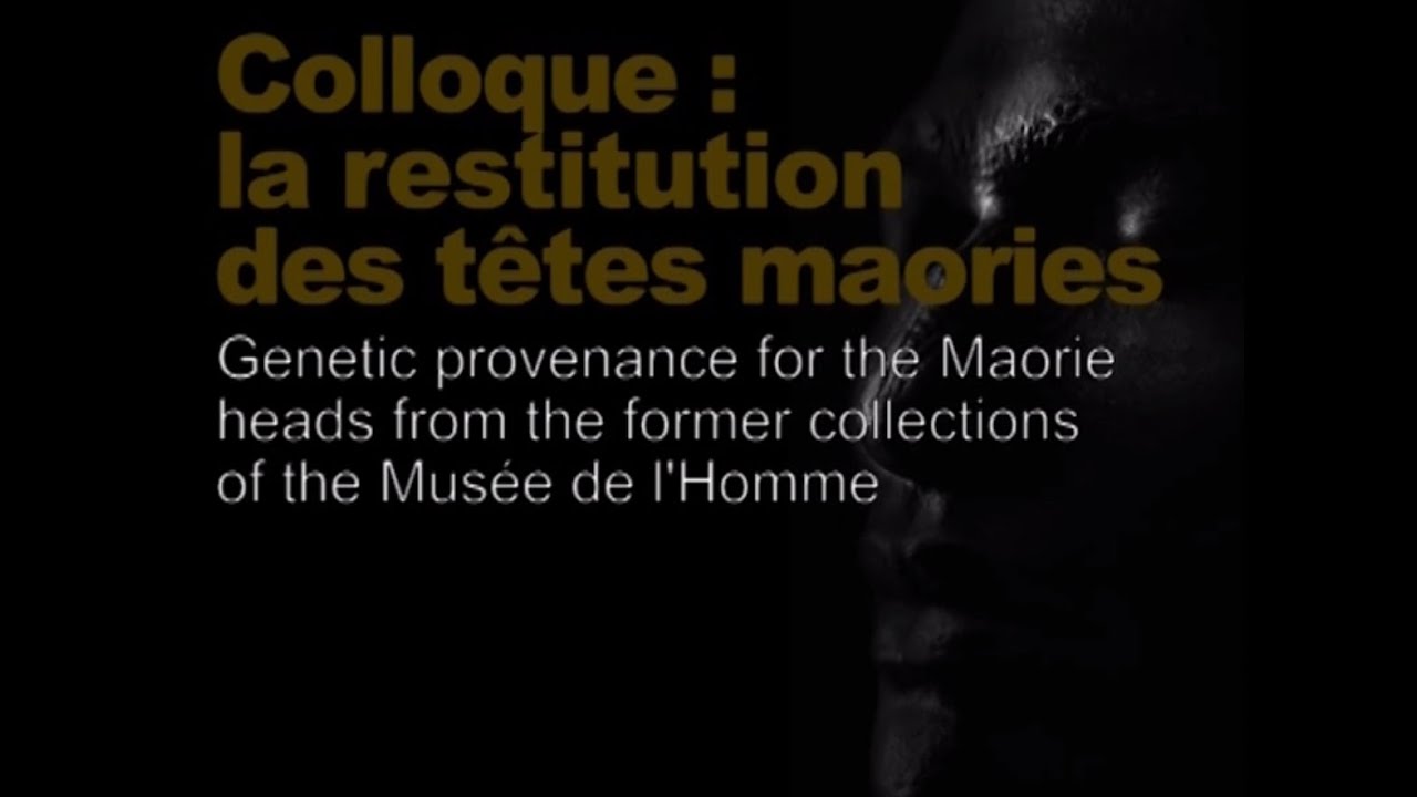 Genetic provenance for the Maorie heads... (Restitution des têtes maories / scientifique 4/8)