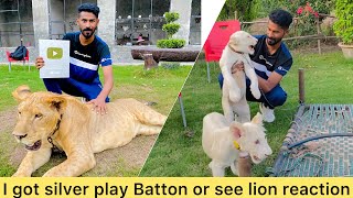 I got silver play batton to see lion reaction