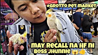 may recall na handfeed cockatiel ni boss jhunnie #grotto pet market