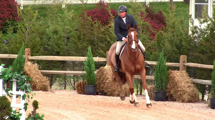 Theodore at the Lexington Hunter Derby