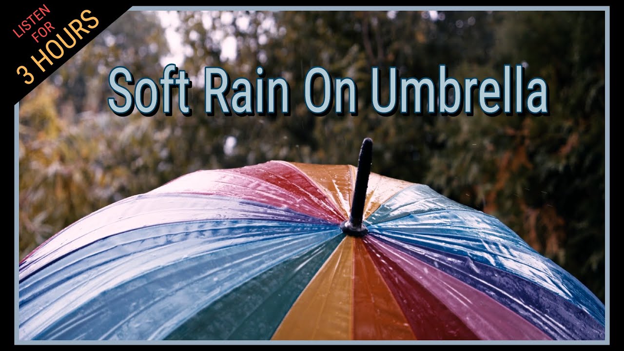 3 HOURS OF SOFT RAIN ON UMBRELLA FOR EASY SLEEP, RELAXATION, MEDITATION