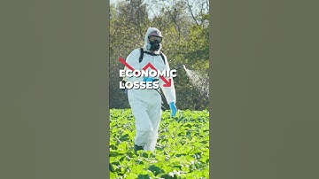 Smart Monitoring for Early Pest Detection & Control!