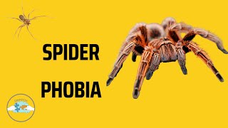 The Telltale Signs of Spider Phobia