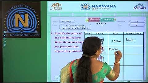 12TH OCT NORTH & KN CLASS V SCIENCE AMAZING ASSIGNMENT KEY