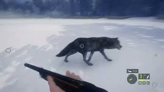 This is why i dont hunt in medved taiga