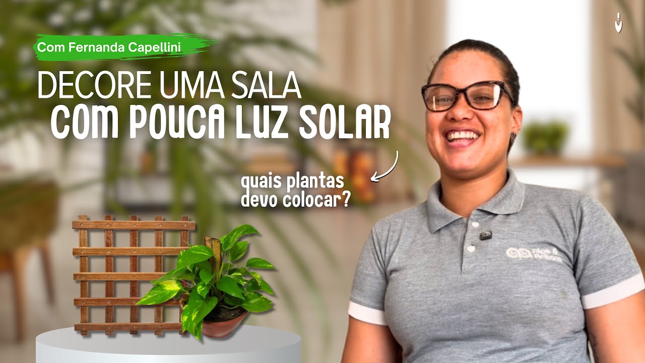 TRUQUES para DECORAR uma SALA com POUCA entrada de LUZ | Fernanda Capellini