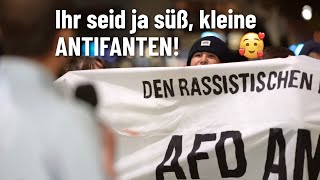 Ihr Seid Ja Süß Kleine Antifanten