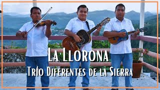 Video voorbeeld van "Trío Diferentes de la Sierra - La llorona"