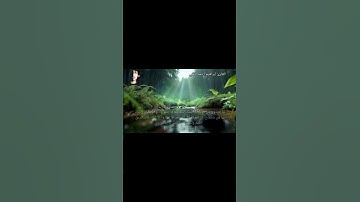 تلاوة خاشعة من سورة يوسف #quran
