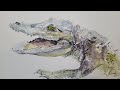 Crocodile / Krokodil – Realistic Watercolor Sketch (No Talking)