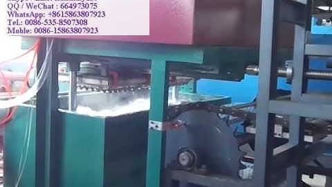 FC-MINI-3 800PCS/H  6 layers drying line