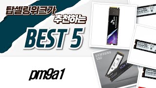 PM9A1 vs 플레티늄 P41 SSD 전격 비교! 당신의 선택은?