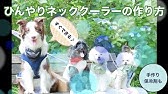 3分でわかる 犬用クールネックの作り方 Youtube